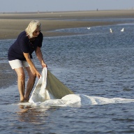 MoNe bearbeitet eine Leinwand im Meer